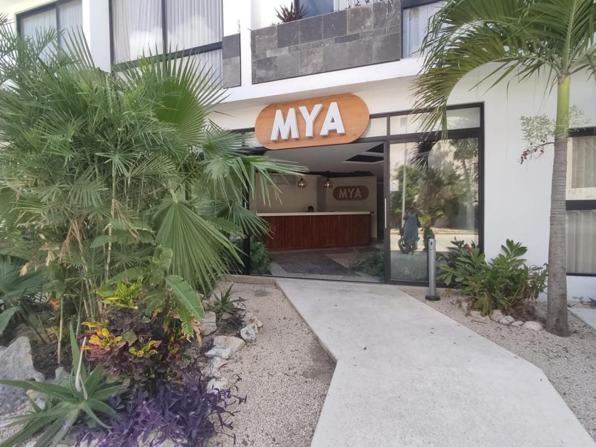 Nuevo Estudio Con Terraza Totalmente Equipado Aldea Zama Appartamento
